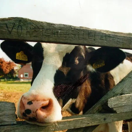 Nr 1 - 4-personen * Schlagsdorf (Fehmarn)