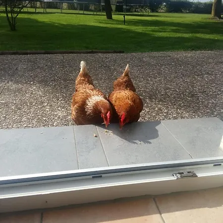 דירה Nr 1 - 4-personen Schlagsdorf (Fehmarn)