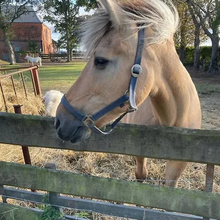 Nr 1 - 4-personen דירה